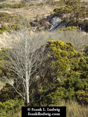 Connemara National Park